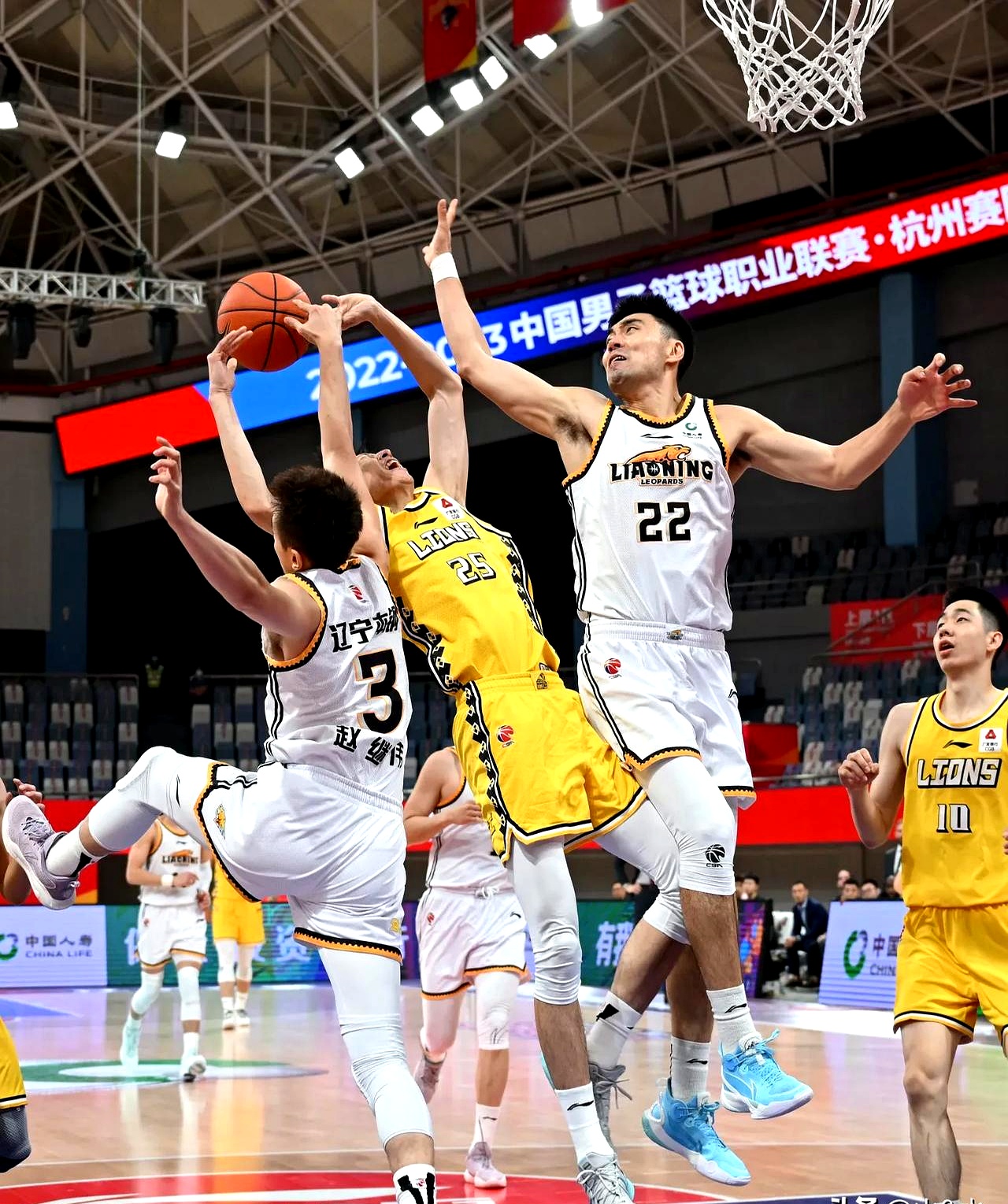 开云中国-浙江队训练开放日;今晚外线爆发引欢呼;欧篮联在即;赛季目标并未改变